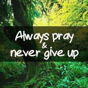 Meet your Posher, Marilou